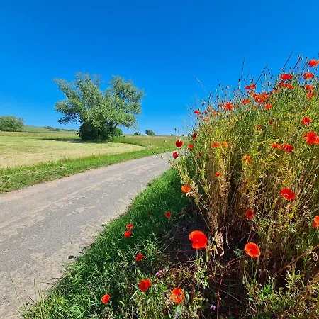 Spacieux - Coeur Historique De La * Barr