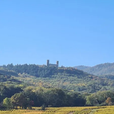 Spacieux - Coeur Historique De La Lejlighed *