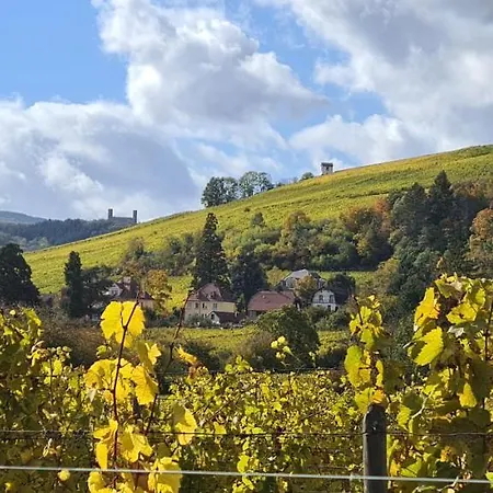 Spacieux - Coeur Historique De La * Barr
