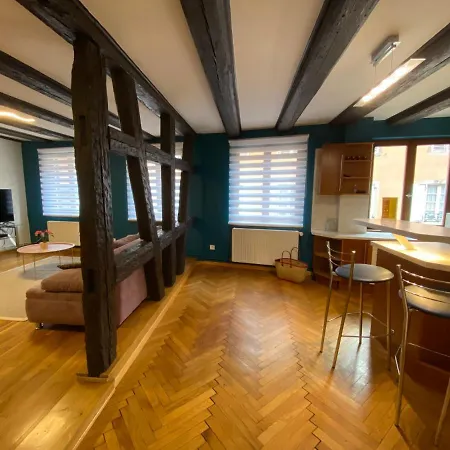 Appartement Spacieux - Coeur Historique De La *