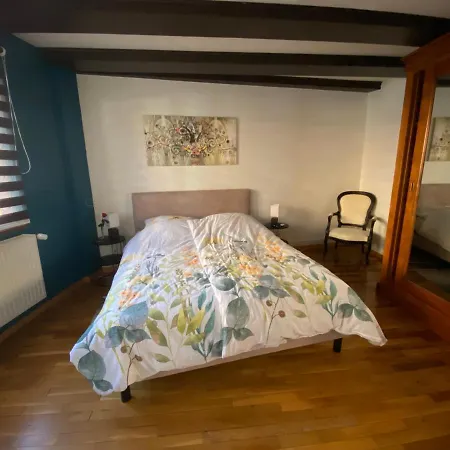 Spacieux - Coeur Historique De La Apartment *