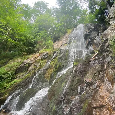 Lejlighed Spacieux - Coeur Historique De La *