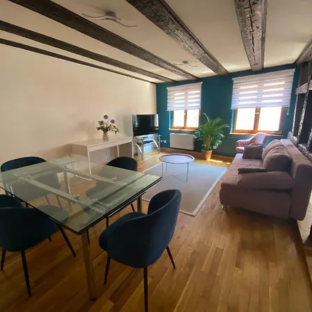 Spacieux - Coeur Historique De La Apartment Barr