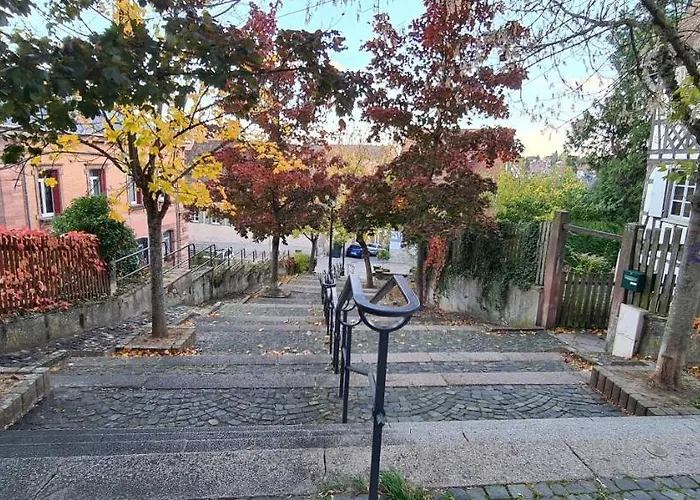 Spacieux - Coeur Historique De La Barr