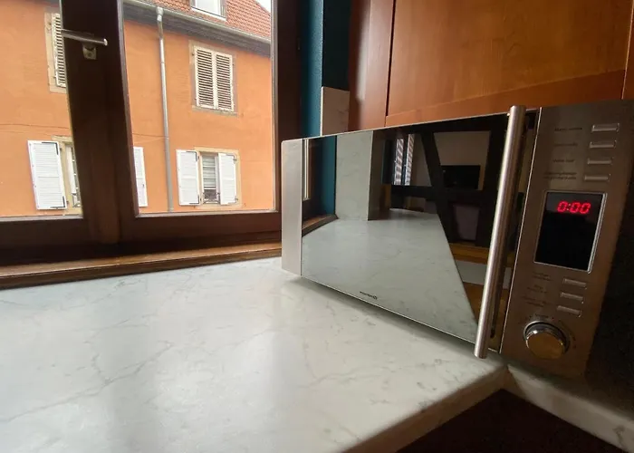 Appartement Spacieux - Coeur Historique De La