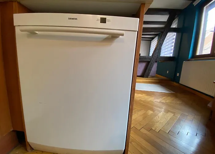 Appartement Spacieux - Coeur Historique De La Barr