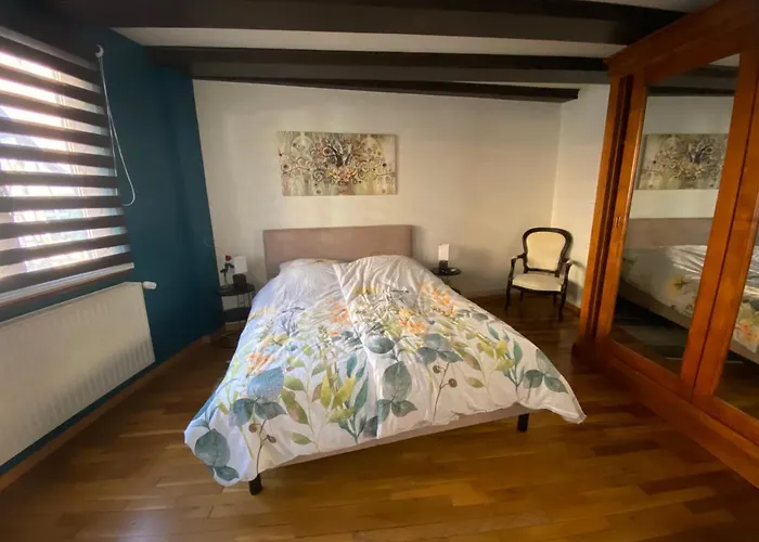 Spacieux - Coeur Historique De La Appartement *