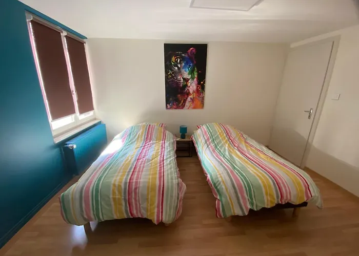 Appartement Spacieux - Coeur Historique De La *