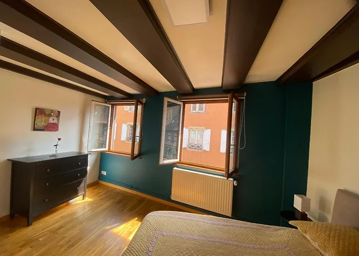 Appartement Spacieux - Coeur Historique De La