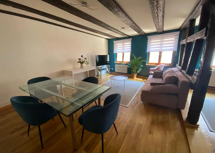 Spacieux - Coeur Historique De La Appartement Barr